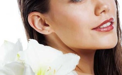 原炀九个套扩写